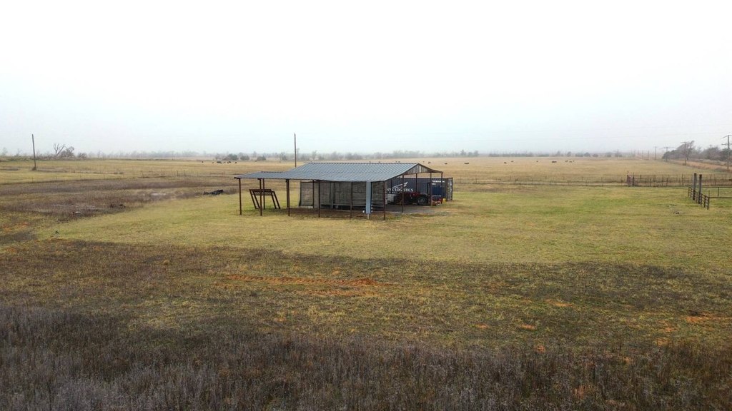 Picture 5