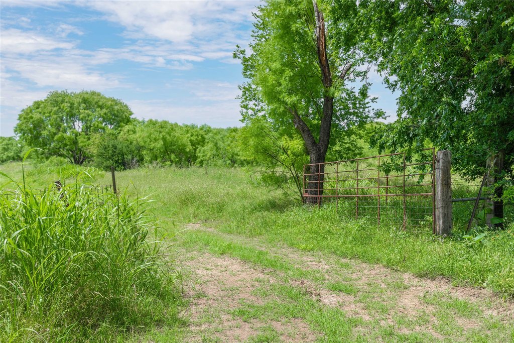 Picture 24