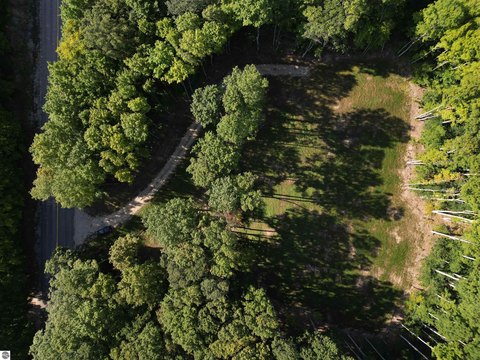 Vacant Lot/Land, Maple City, MI