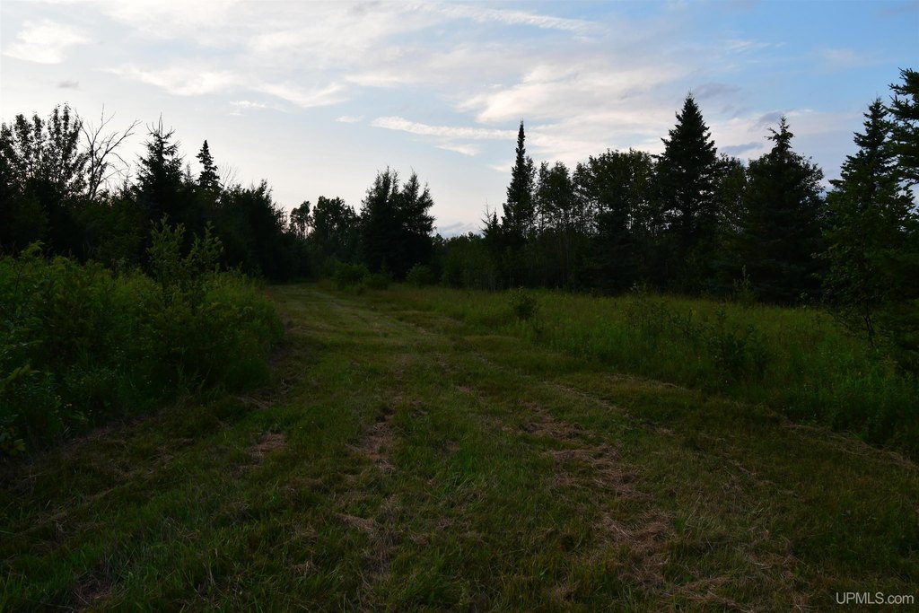 Picture 21