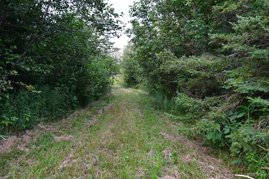 Picture 26