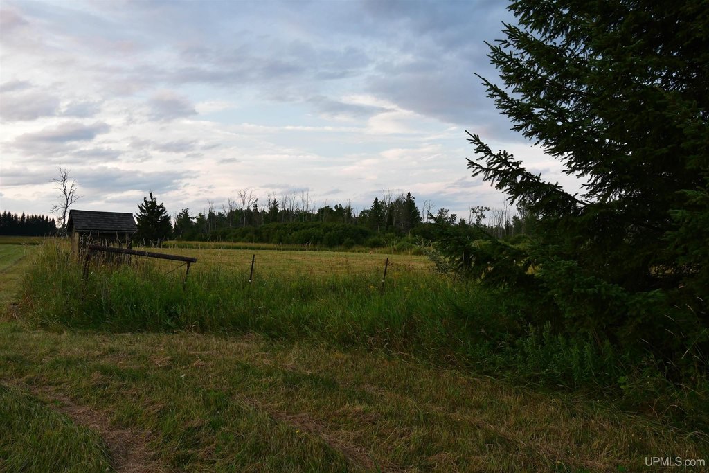 Picture 7
