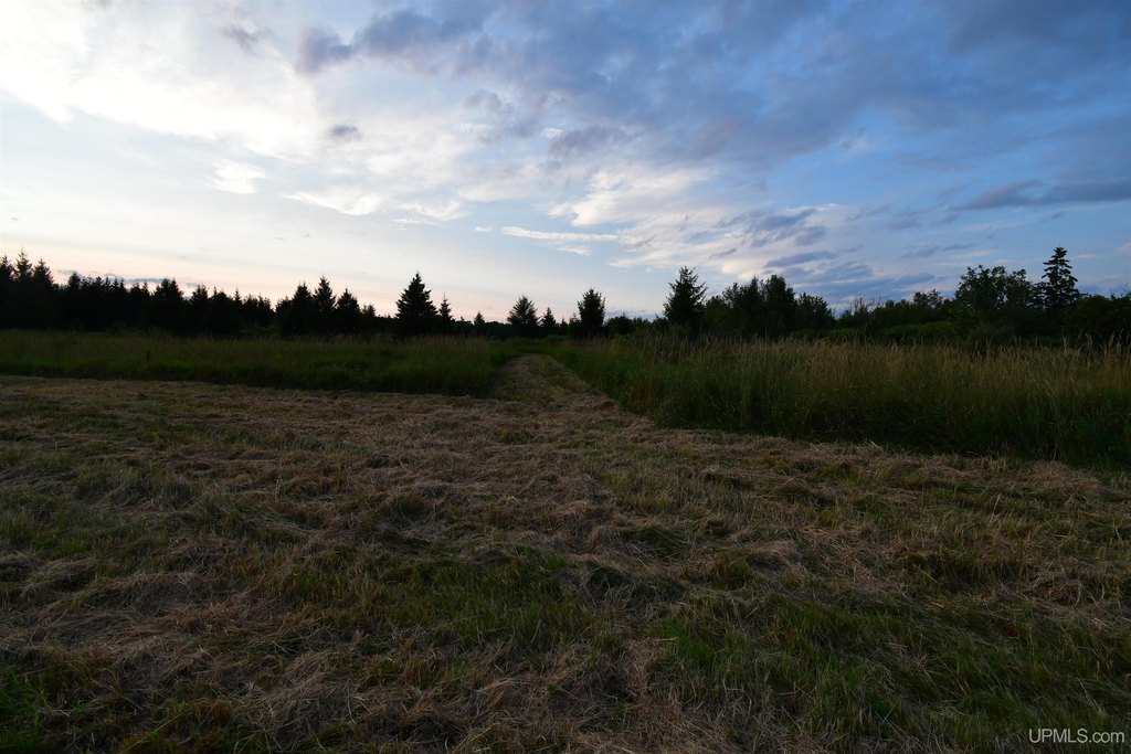 Picture 28