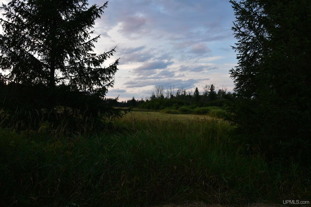 Picture 35