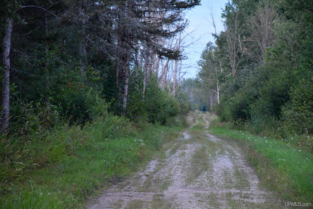 Picture 42