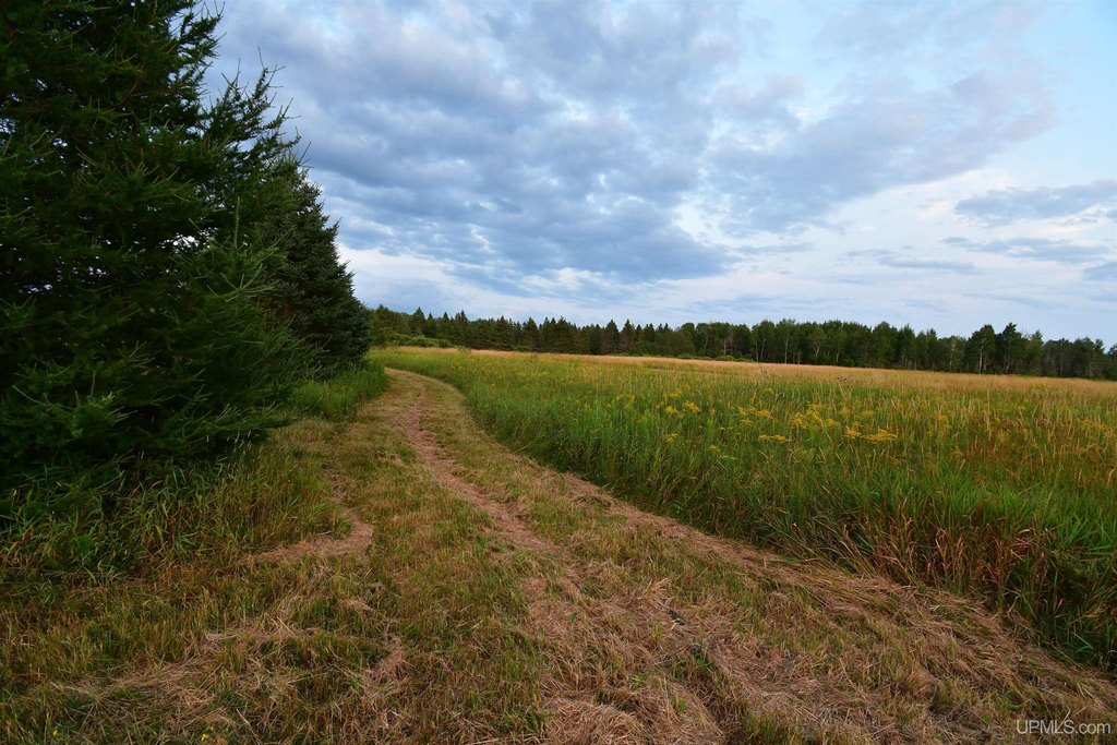 Picture 31