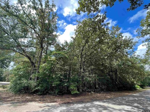 Corner Wooded Lot in Gated Community