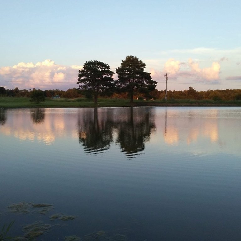 Picture 3