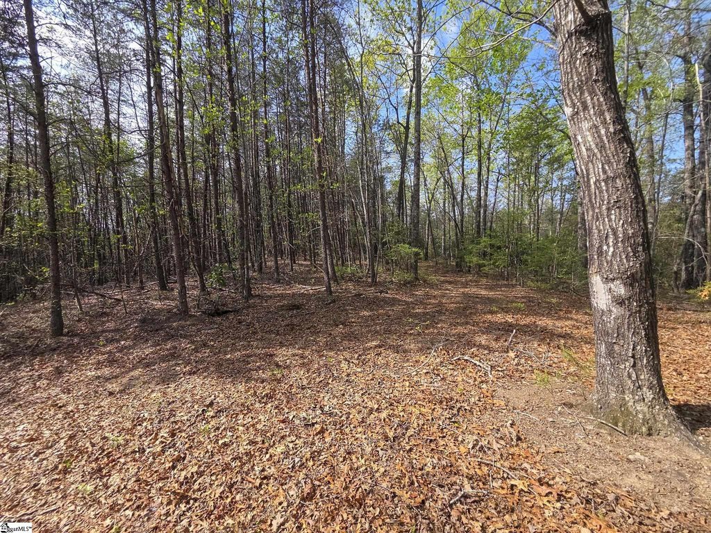 Picture 29