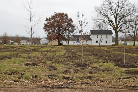Land in East Lynne, MO