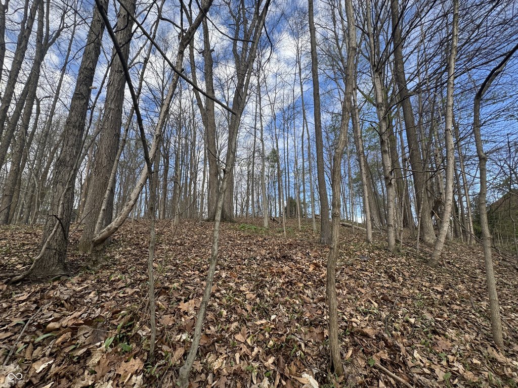 Picture 19