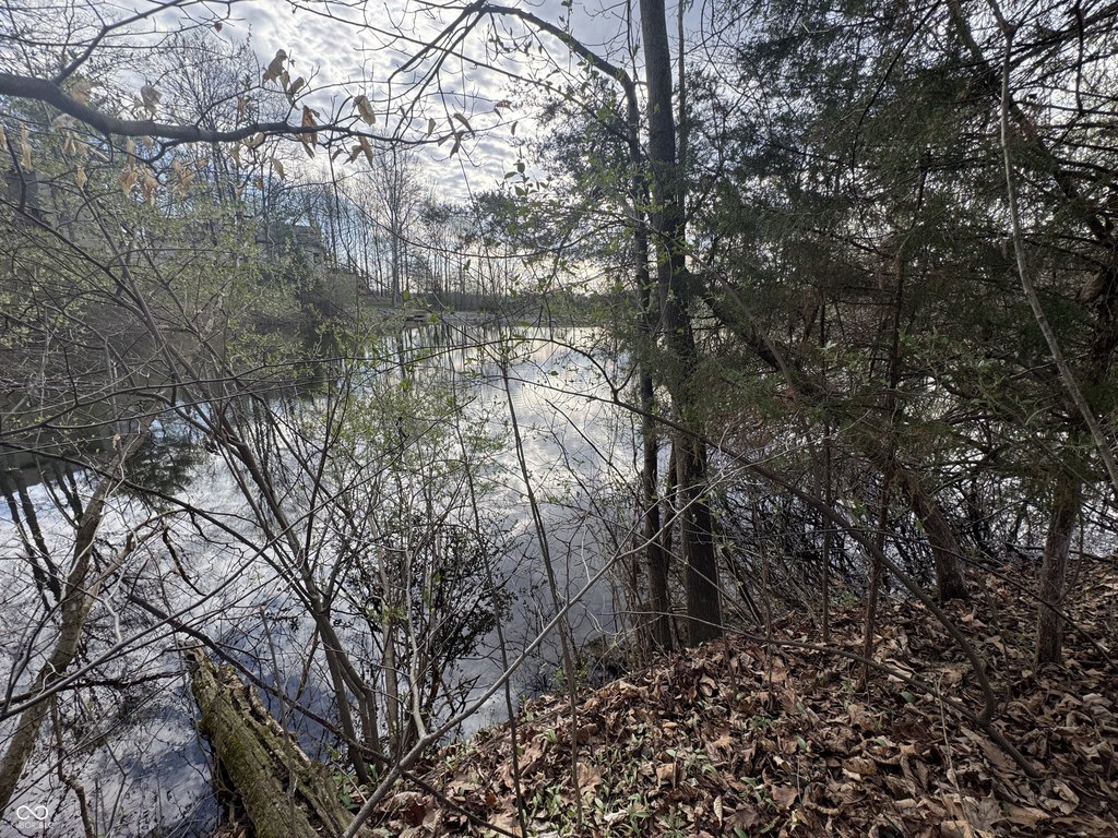 Picture 17