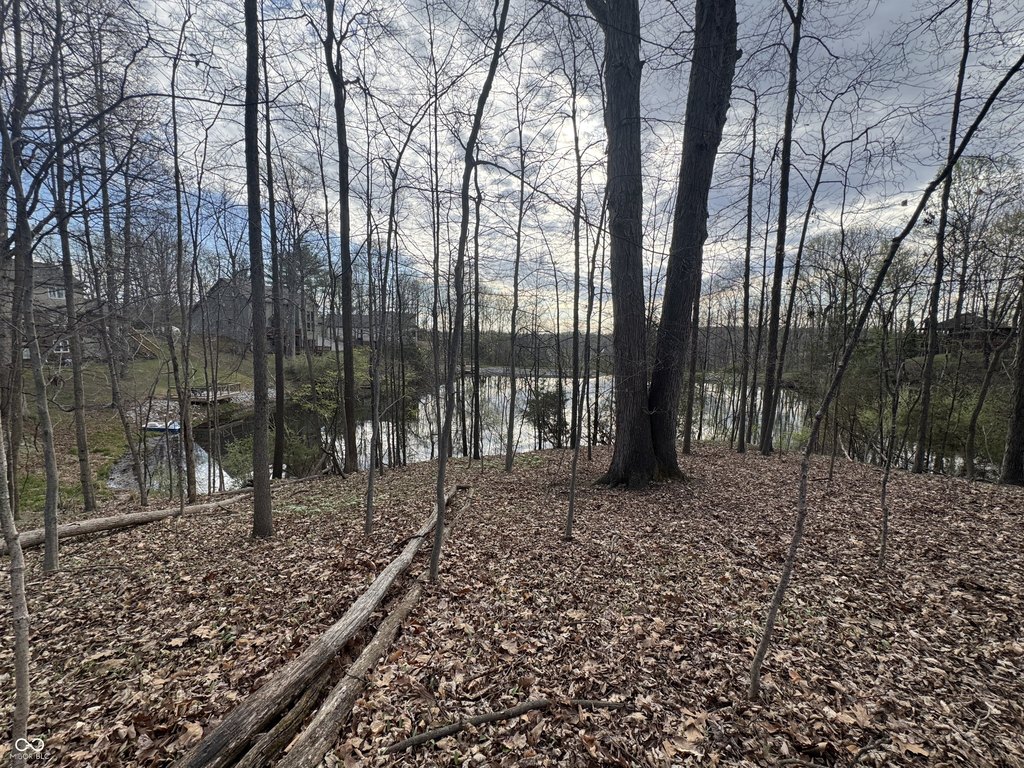 Picture 25