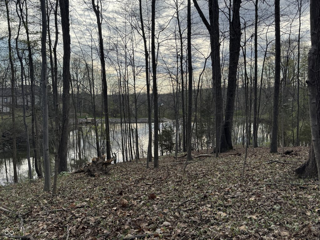 Picture 21