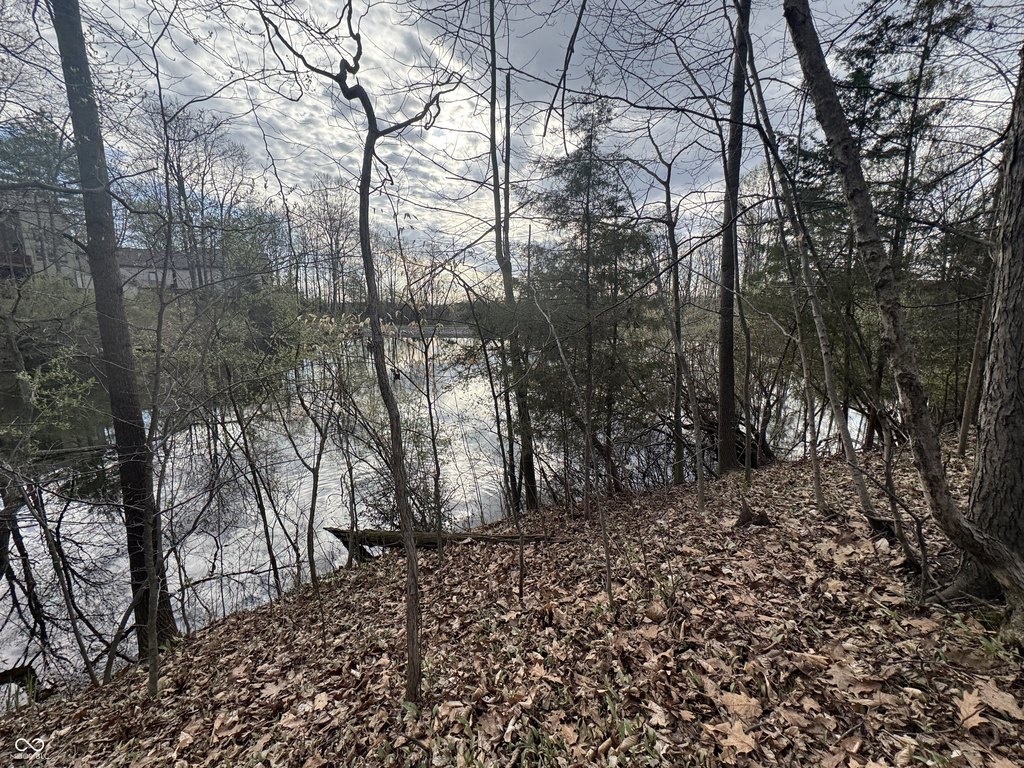 Picture 15