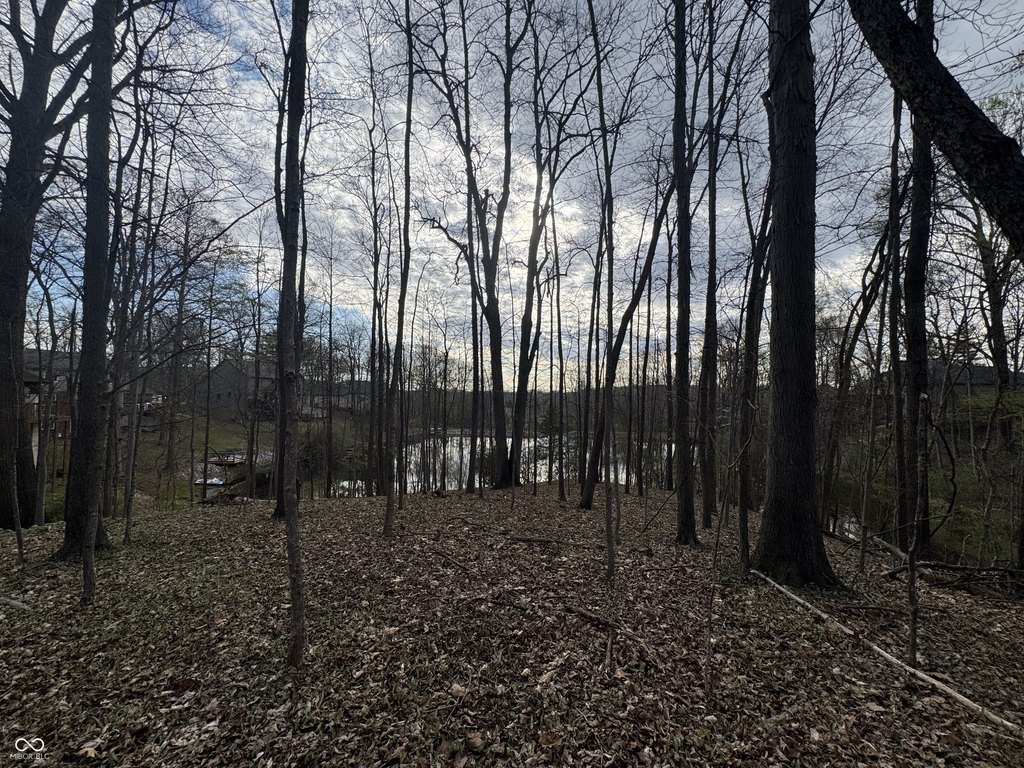Picture 22