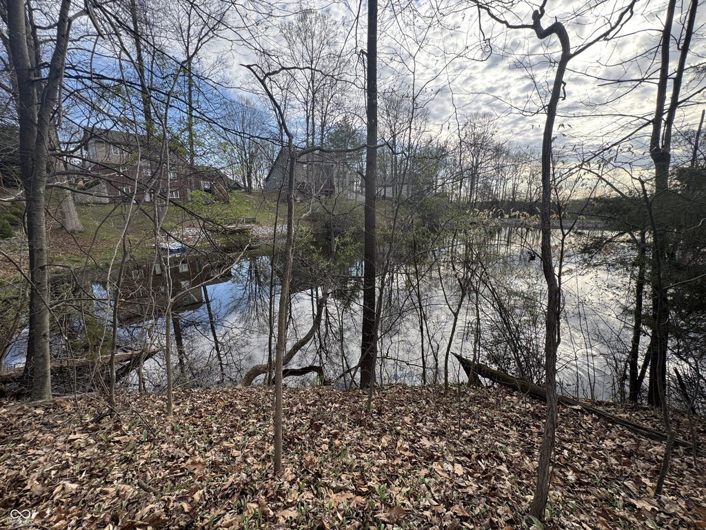 Picture 14