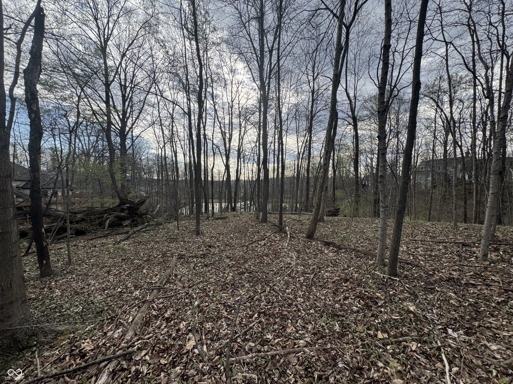 Picture 23