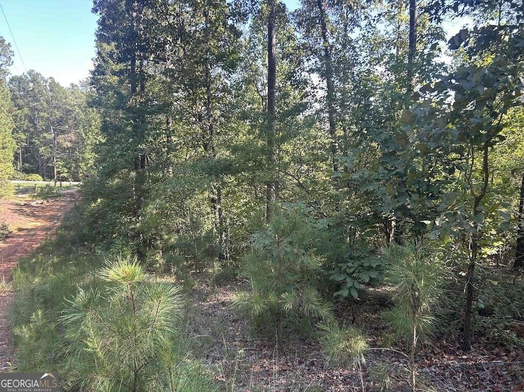 Picture 12