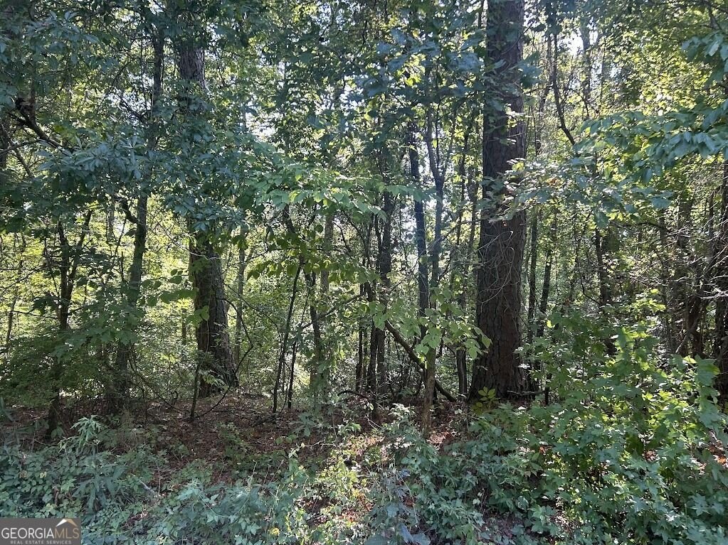 Picture 11