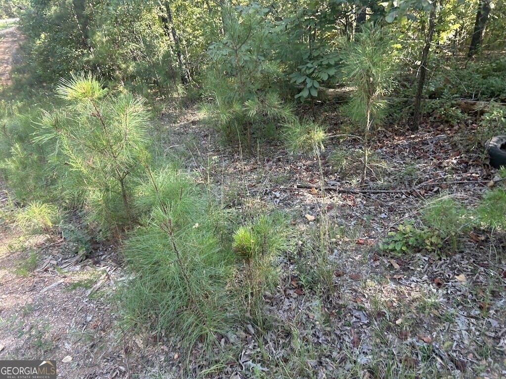 Picture 6