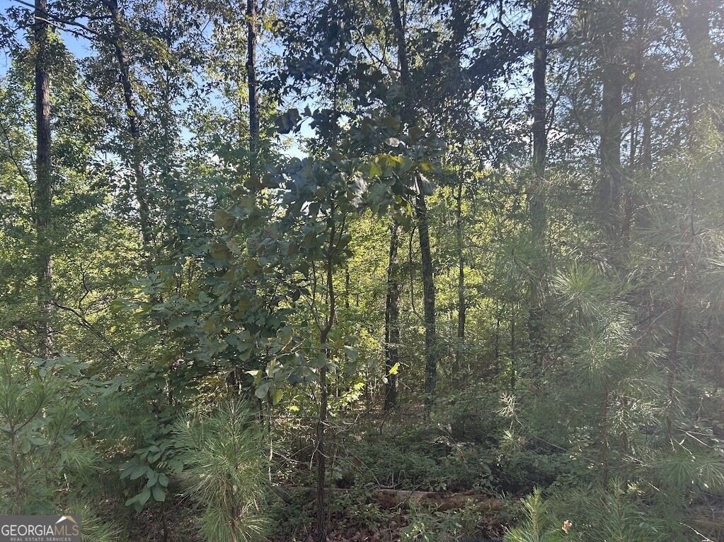 Picture 5