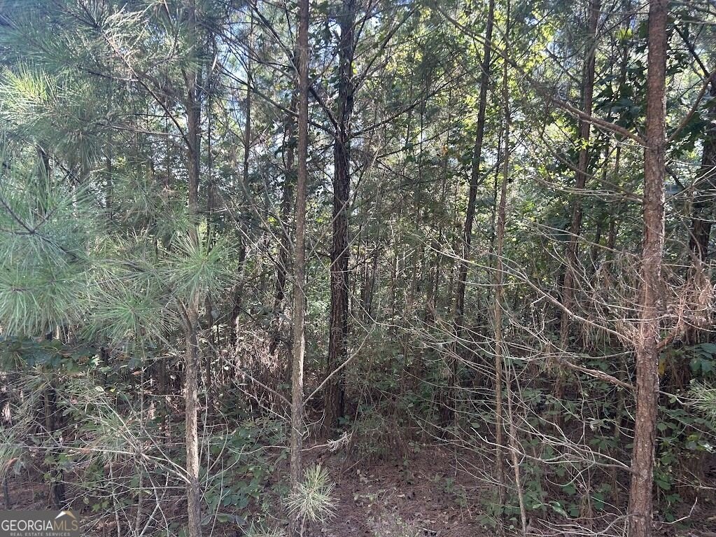 Picture 4