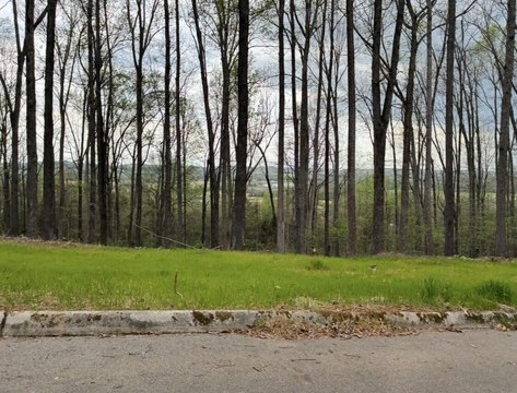 LAND - Sweetwater, TN