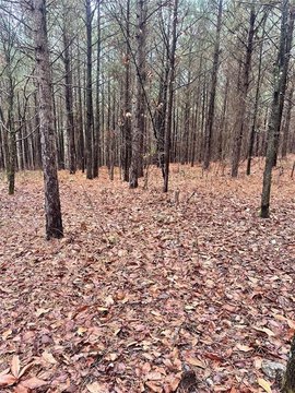 Unrestricted Land in Broken Bow