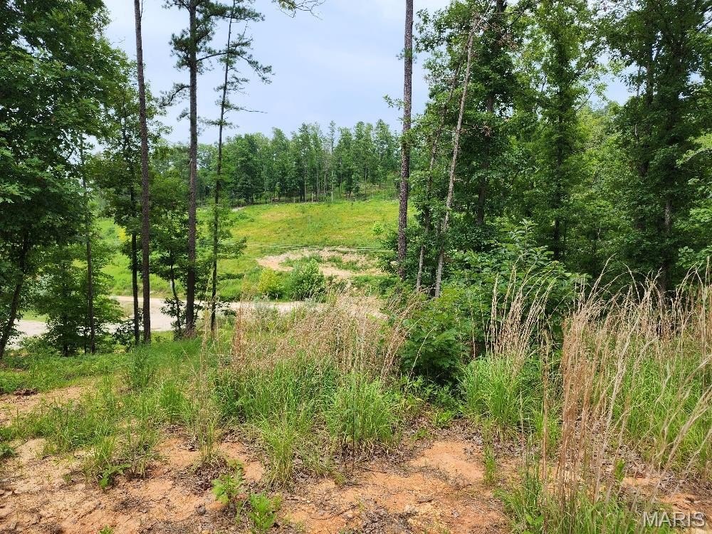 Van Buren Farm Land