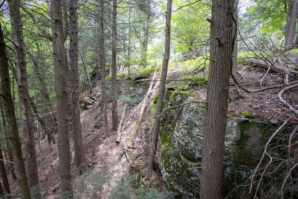 Picture 16