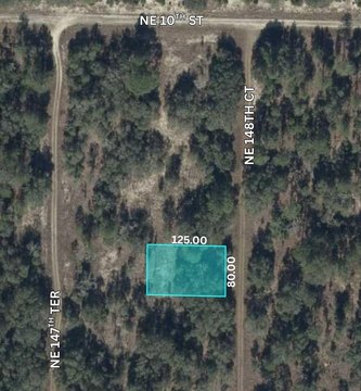 Land, WILLISTON, FL