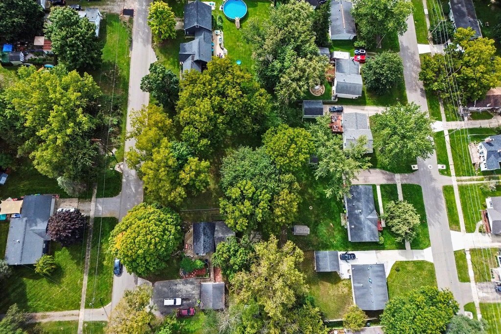 Picture 10