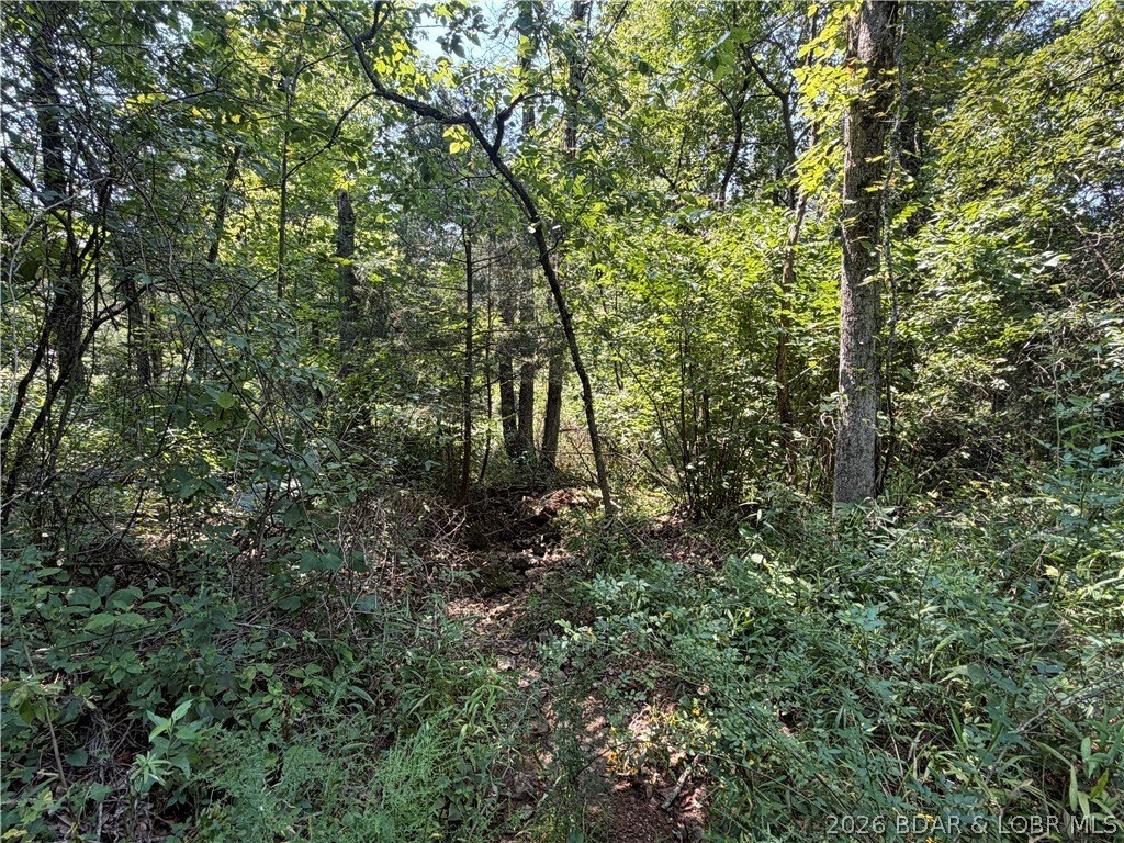 Picture 2