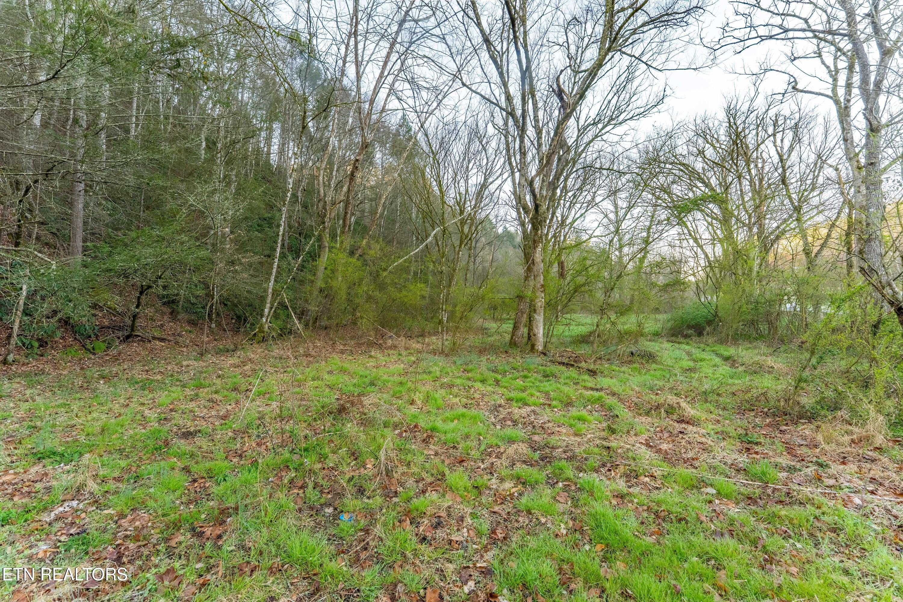 Unrestricted Mountain Property For Sale