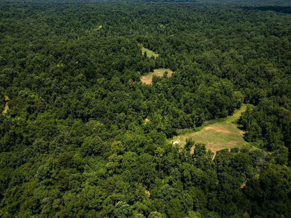 Claiborne County Hunting and Farm Land