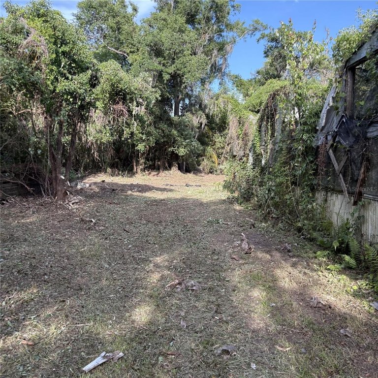Picture 27