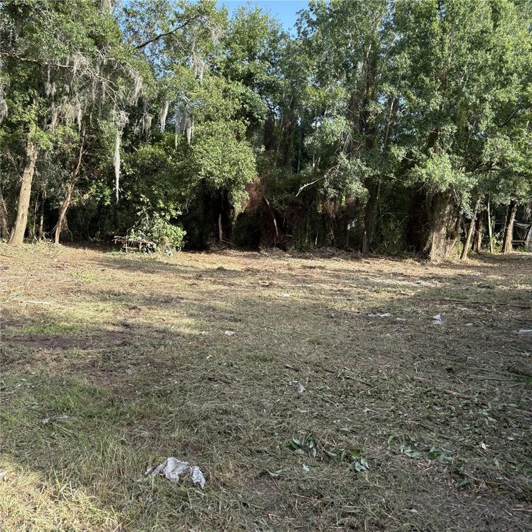 Picture 28