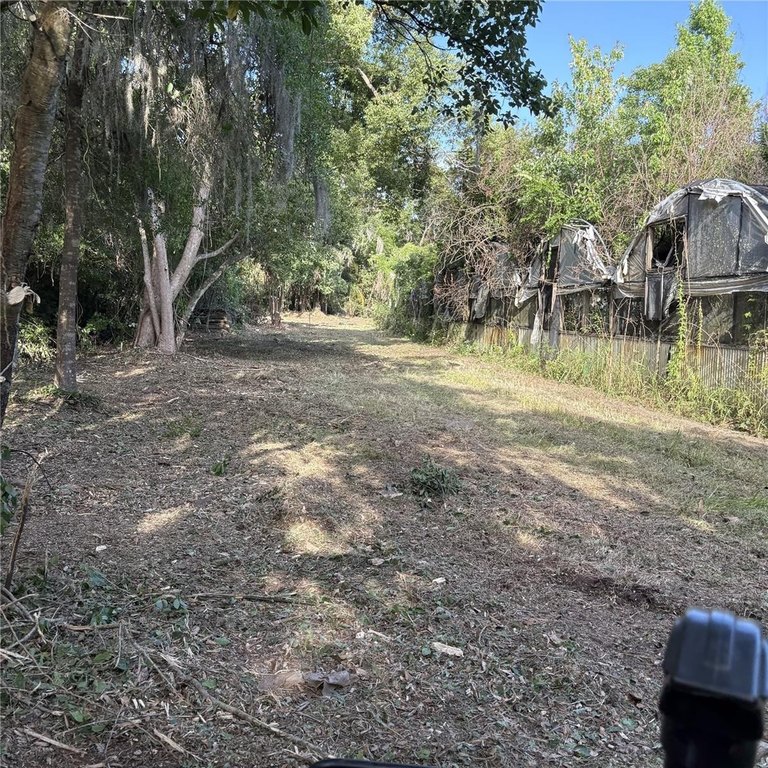 Picture 25