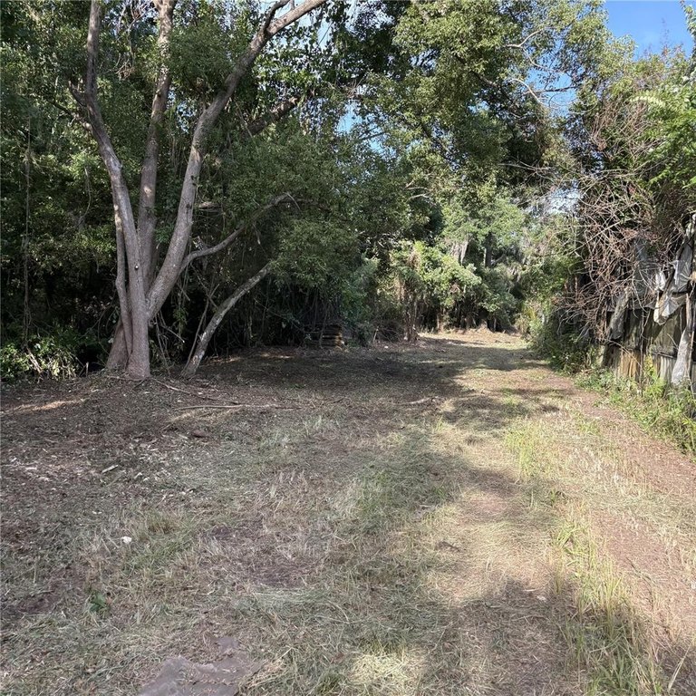 Picture 26