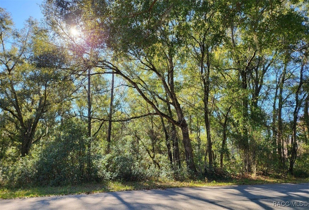 Residential Land in Rainbow Springs