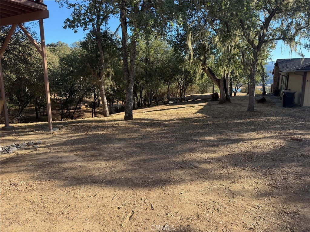 Picture 3