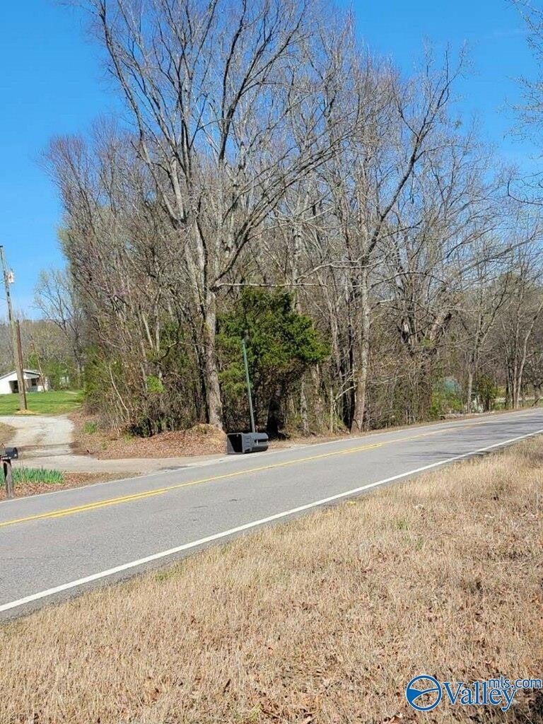Land For Sale, Laceys Spring
