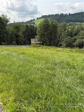 Residential Lot in Alleghany Manor
