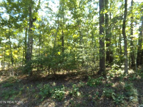 Lots & Acreage, Crossville, TN