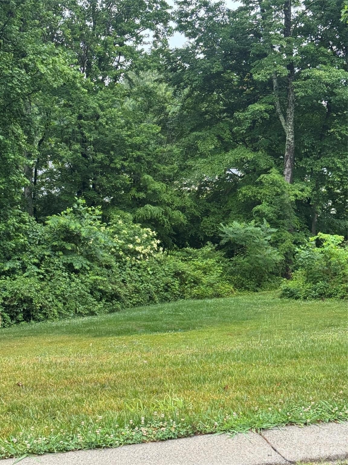 Cleared Lot Near Lake Norman