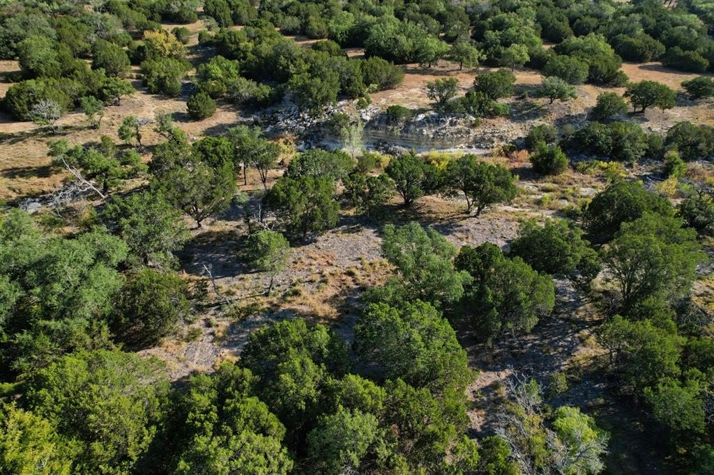 Texas Land with Creek Access