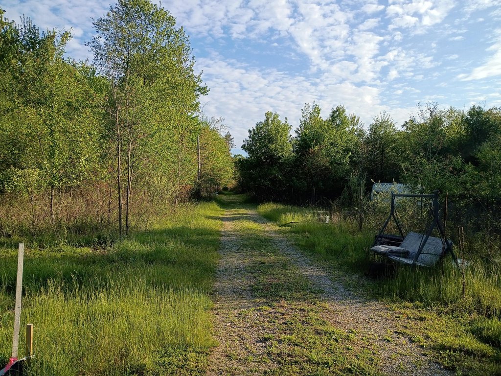 Picture 22