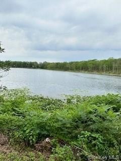Land, Port Jervis, NY