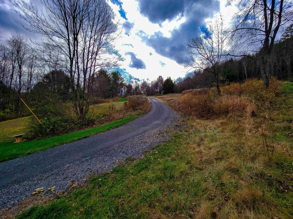 Picture 41
